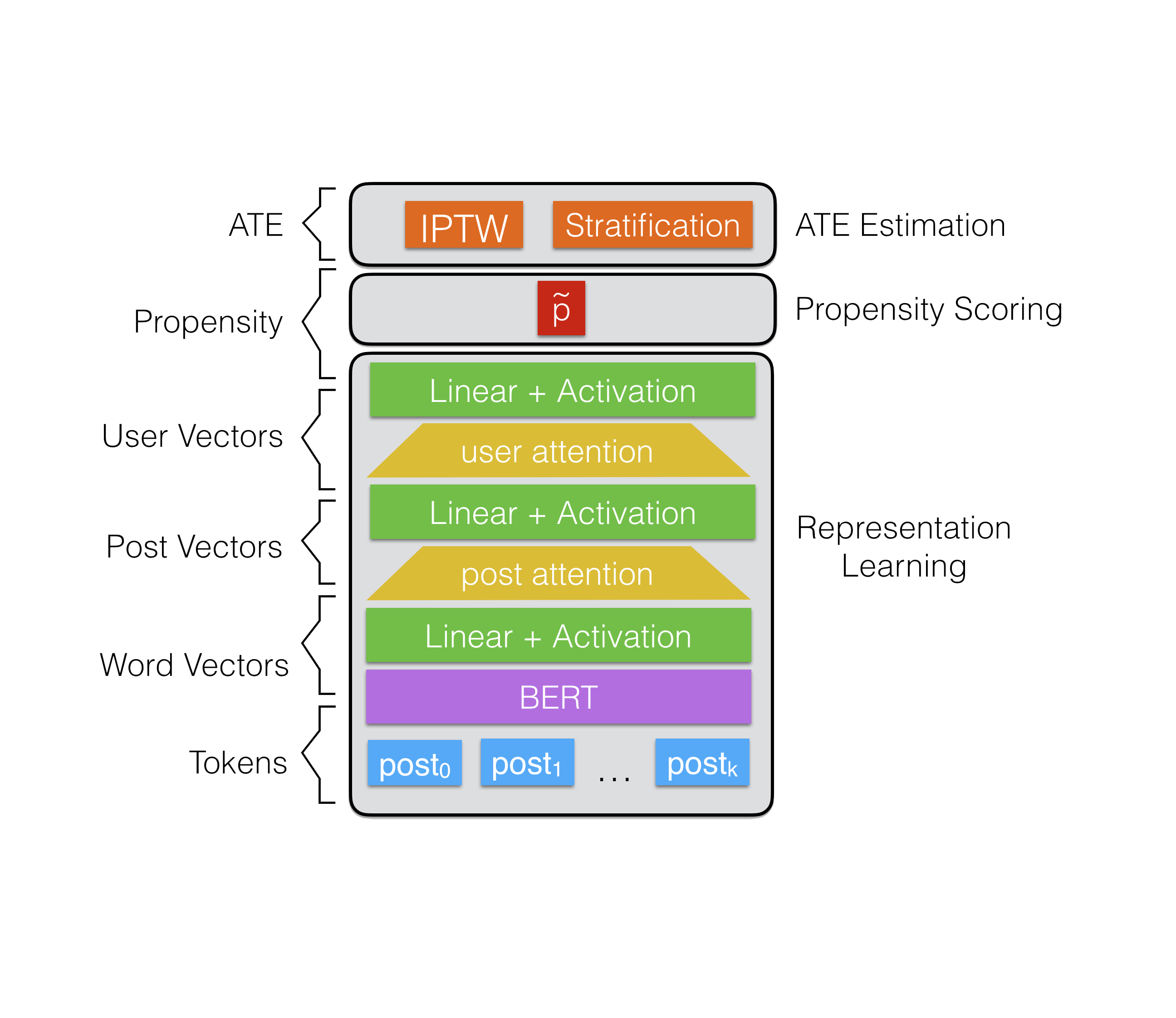 Diagram of SHERBERT Model